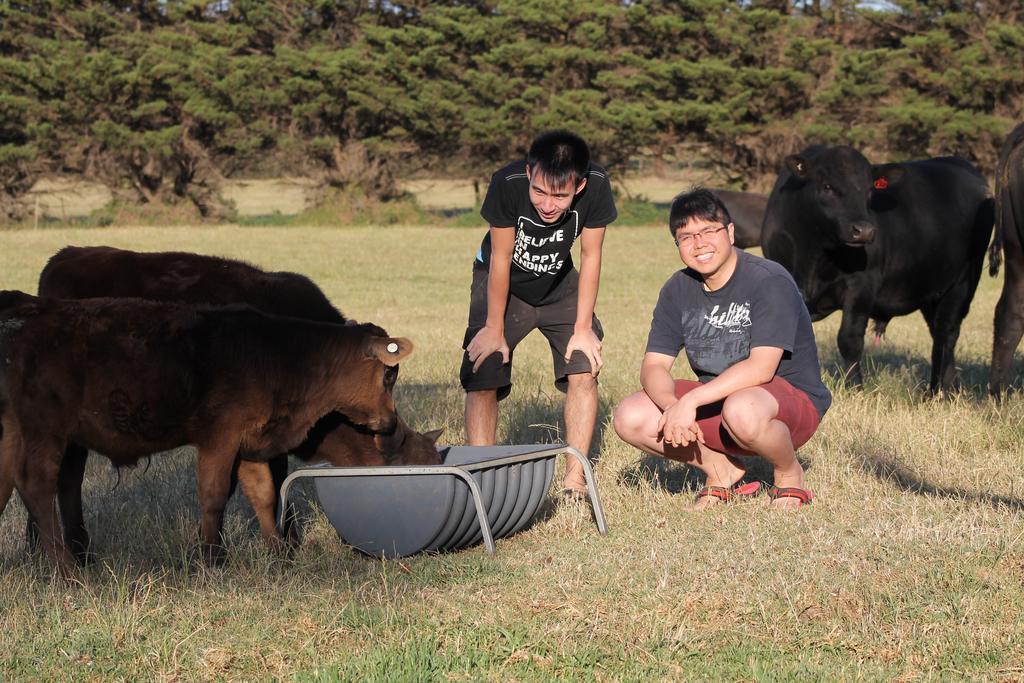 Bimbadeen Phillip Island Farm Retreats Ventnor Kültér fotó